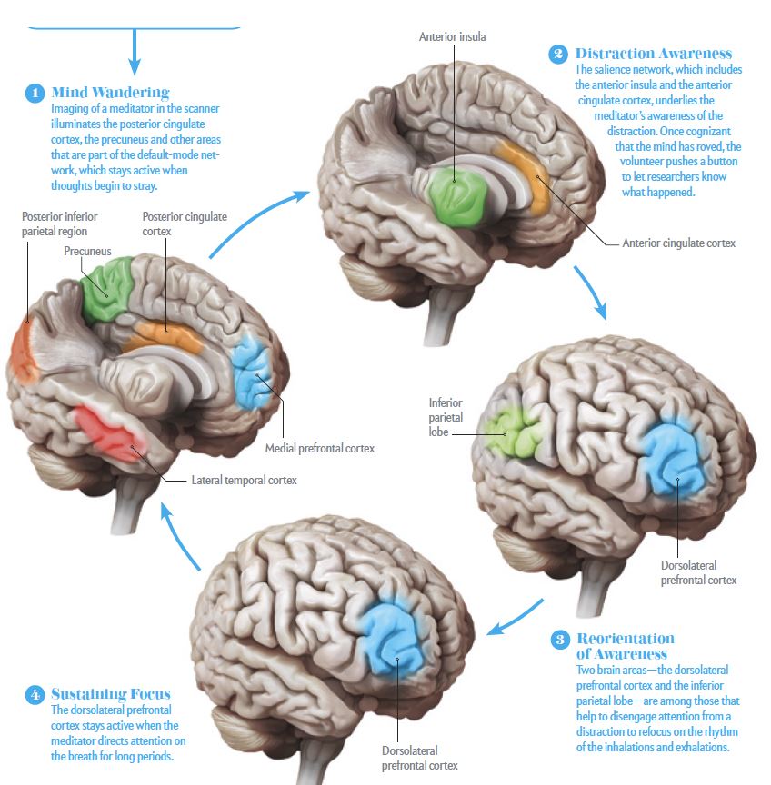 What's the difference between having a mindful mind and a